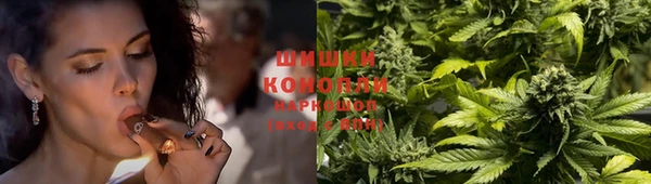 2c-b Мегион