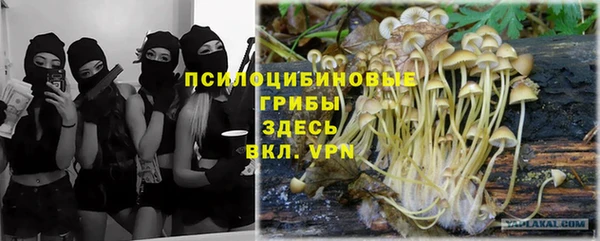 дмт Магадан