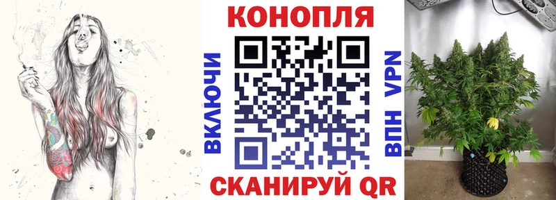 Конопля семена  omg вход  Павловская 